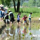 자연의 향기 이미지