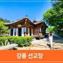 ㄱ정자가있는우리한옥민박 | 5월 강원도 강릉 가볼만한곳 추천, 데이지 만발하는 강릉 선교장 카페 리몽