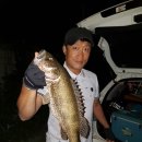 노일바이오 이미지