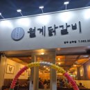 월계 | 광주 상무지구 닭갈비 맛집 월계닭갈비 내돈내산 후기