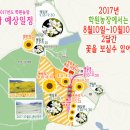 9월23일(토요일) 선운사, 도솔암, 상사화, 학원농장 해바라기/메밀꽃잔치 이미지