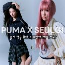 커피캣 | 푸마 무신사 콜라보 슬기 착용 제품 T7 우븐 자켓, 슬립캣 알아보기