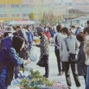 공도도서관 앞 공원 이미지