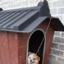 소성면사무소 이미지