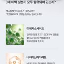 르샤인미
