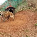 용모농장 이미지