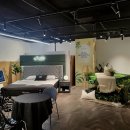 포레스트문 이미지