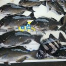 뉴환상민박 이미지