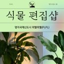 부산에서 핫한 식물 편집샵 피엘피엘(PLPL)
