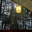 동호사우나 | 강원도 양양 펜션 동호해변 앞 트리플펜션 글램핑 숙소 ( 아기랑 여행 )