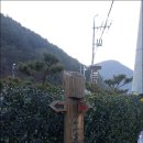 덕산아파트 앞 이미지