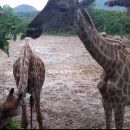 땅이게임랜드 이미지