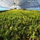 농원농장 이미지