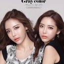 모네 브라운 이미지