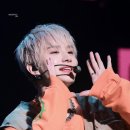 정블리