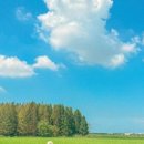 군산현대주유소 이미지