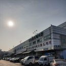 [춘천꽃집_요선동 꽃가람플라워] 양재 꽃시장 탐방!