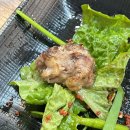 광양 용강리 찐맛집 초원양꼬치 양고기, 소갈비살 추천