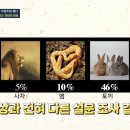 이룸아시아
