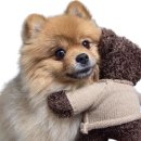 관악노인종합복지관 이미지