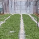 박정자농장 이미지