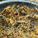 못말리는꼼장어 이미지