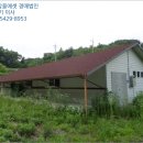 상동천교