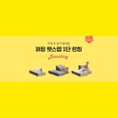 댕댕이모 이미지