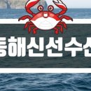 독도수산건어물