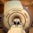 척추 자기공명영상[spinal magnetic resonance imaging] 이미지