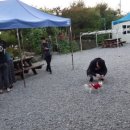 장미 펜션 이미지