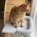 (주)파우제 이미지