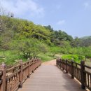 산림욕장 이미지