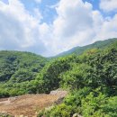 산우회 ⛰산청 - 대원사 조개골 산행 (`24.08.07) 이미지