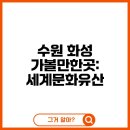 세계유산코스 티스토리