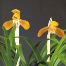 (주)금화 이미지