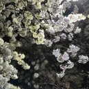 브라이튼 휘트니스(주) 이미지