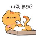 김동물병원 이미지