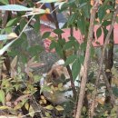 결벽증카케어 이미지