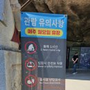 강원도 영월 가볼만한곳 고씨굴 친구들과 다녀온 우정여행 후기