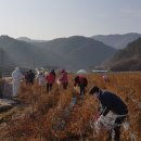 법전면사무소 이미지