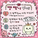 원더플 이미지