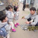 이동국농장 이미지