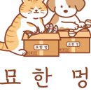 멍스토어 이미지