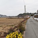 용해동사무소