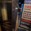 동천산꼼장어 이미지