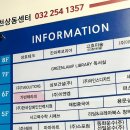 가빈테라피