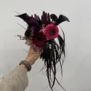 서리풀4길 7-6 | 헤이허니 스튜디오 서초점 촬영 후기📸 (3월 초 오후 타임, 라주연작가님)