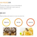 보궁요양병원 네이버블로그