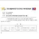 인라인 스케이팅 이미지
